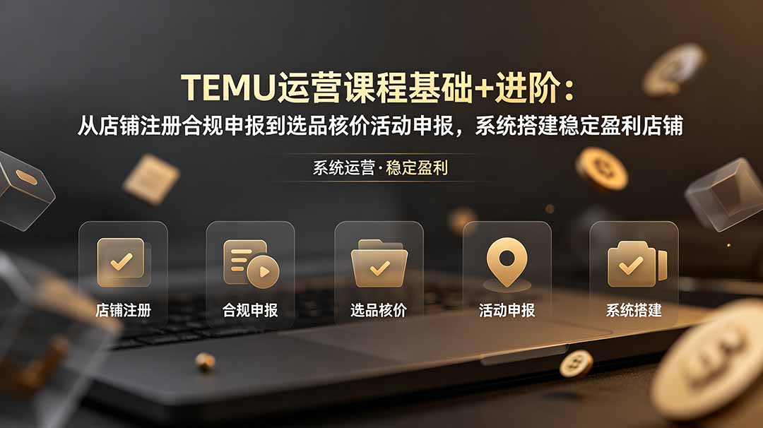 TEMU运营课程(基础+进阶-轻创终点站