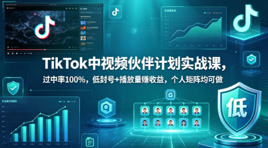 TikTok中视频伙伴计划实战课，过中率100%，低封号+播放量賺收益，个人矩阵均可做-轻创终点站