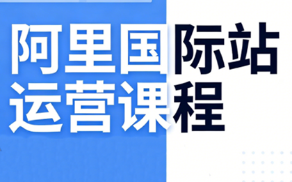 张国儒·阿里国际站运营课程(更新7月)-轻创终点站