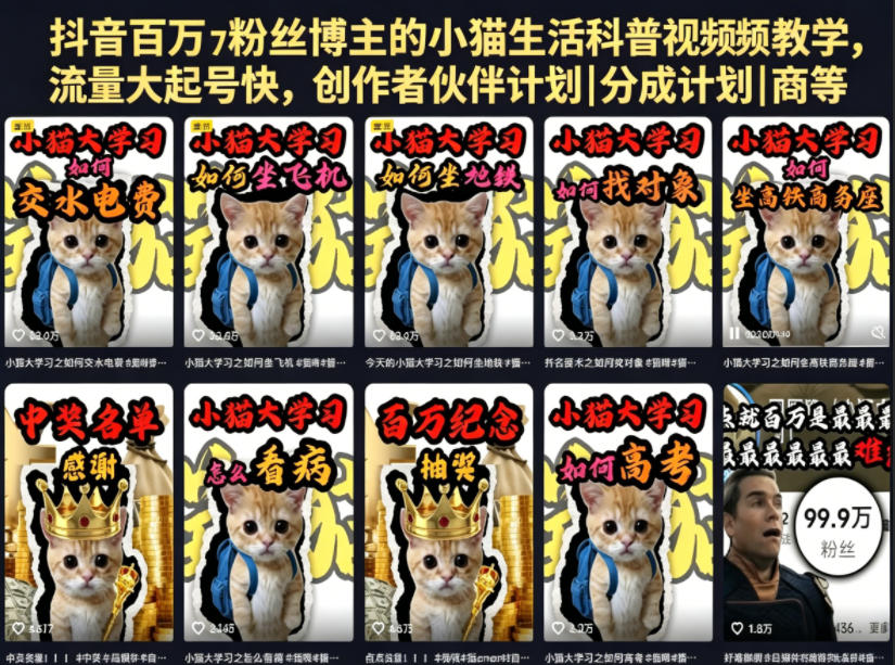 抖音百万粉丝博主的小猫生活科普视频教学，流量大起号快，创作者伙伴计划|分成计划|商单|收徒等-轻创终点站