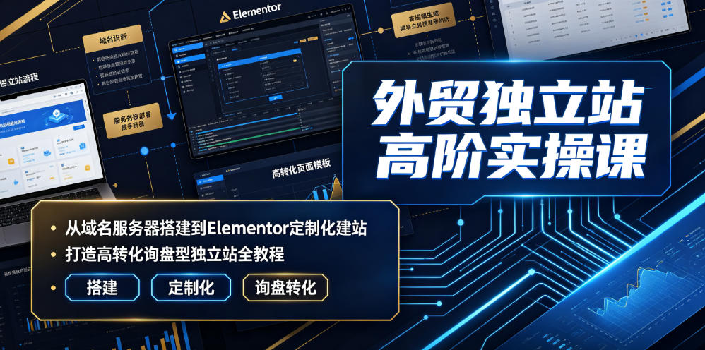外贸独立站高阶实操课|从域名服务器搭建到Elementor定制化建站,打造高转化询盘型独立站全教程-轻创终点站