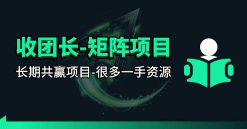 【团长合作】视频矩阵项目_招发手矩阵+剪辑师，共赢项目【揭秘】-轻创终点站