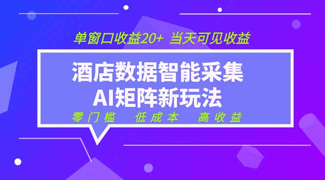 2026酒店数据采集ai智能矩阵新风口  低成本   高收益   当天见收益   单窗口20+-轻创终点站