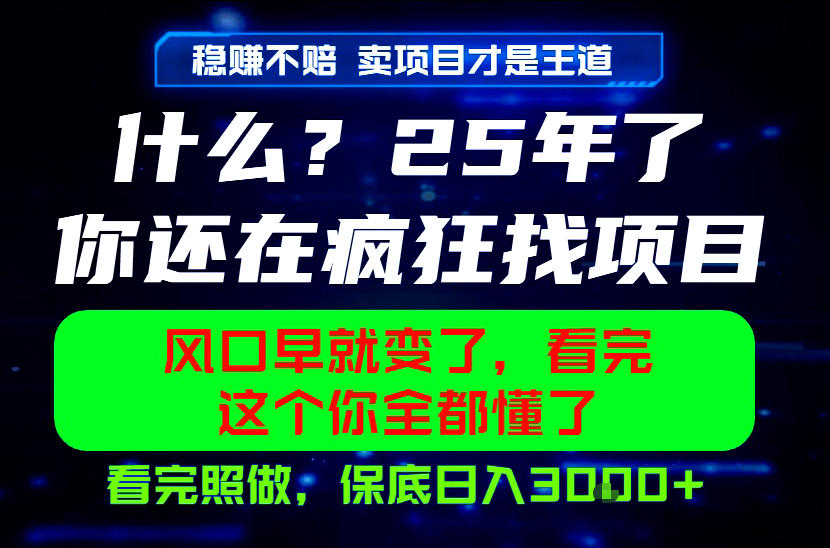 26年,请不要疯狂的找项目做了!卖项目才是真的稳賺不赔,看完照做,保底日入1k+【揭秘】-轻创终点站