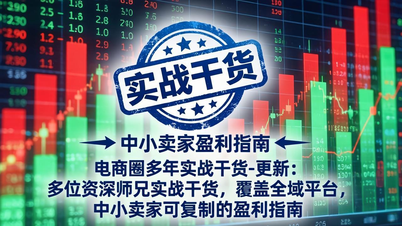 电商圈多年实战干货-更新5月20：多位资深师兄实战干货/覆盖全域平台，中小卖家可复制的盈利指南-轻创终点站
