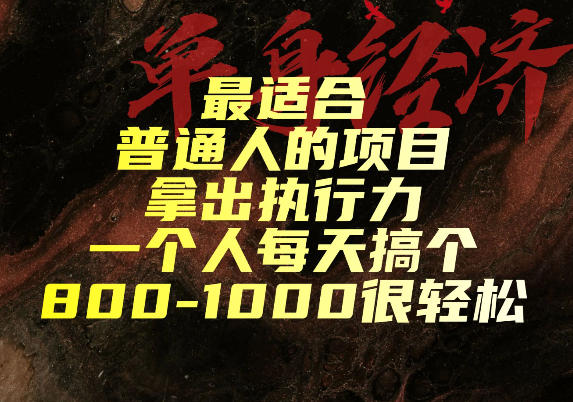 最适合普通人的项目,拿出执行力一个人每天搞个800-1k很轻松【揭秘】-轻创终点站