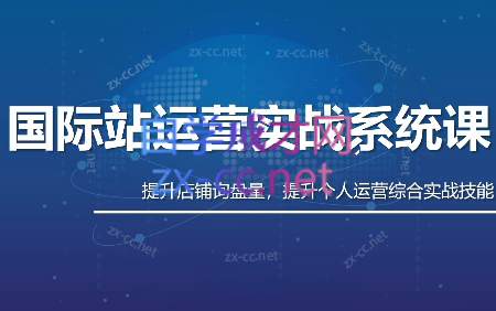 白老师·国际站运营实战系统(高质量询盘增长课)(更新)-轻创终点站